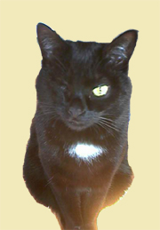 �O�����̔L