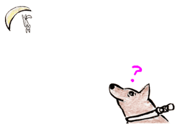 �O�����̔L